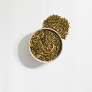Garten Moringa